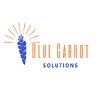 Blue Carrot Solutions